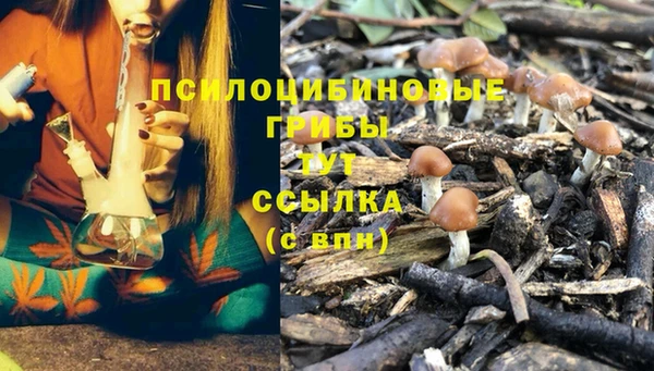 марки lsd Алзамай