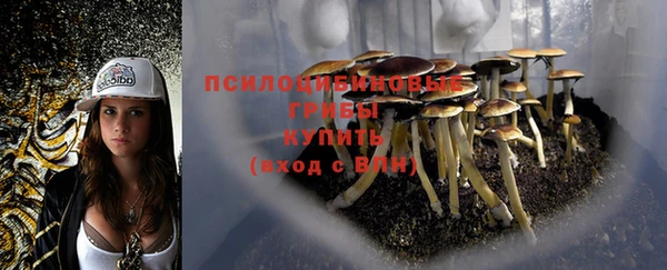 mdpv Приозерск