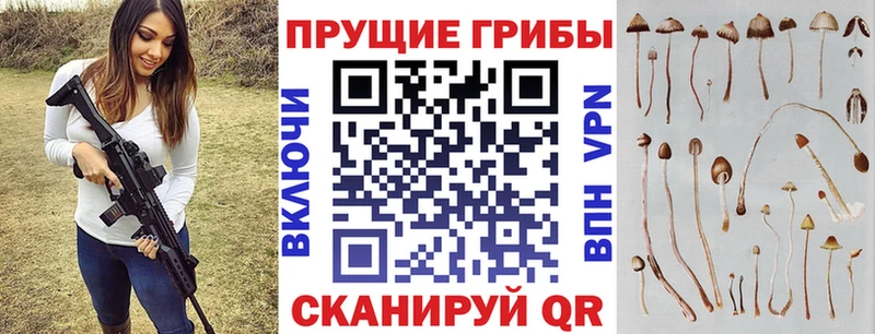 Псилоцибиновые грибы ЛСД  MEGA рабочий сайт  Прохладный  сколько стоит 