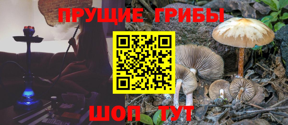 Галлюциногенные грибы Cubensis  Вход с VPN  Галлюциногенные грибы ЛСД  где можно купить   Прохладный 