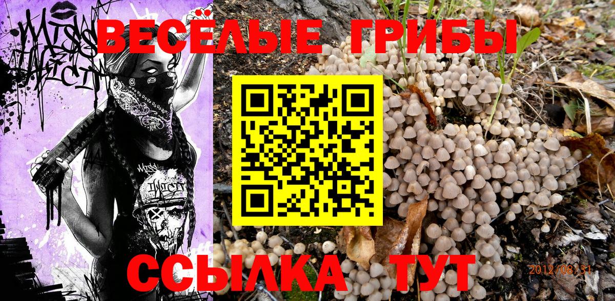 Галлюциногенные грибы Magic Shrooms Прохладный